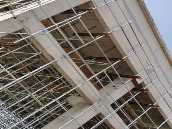 2021011831563383.jpg 2021011831563383.jpg